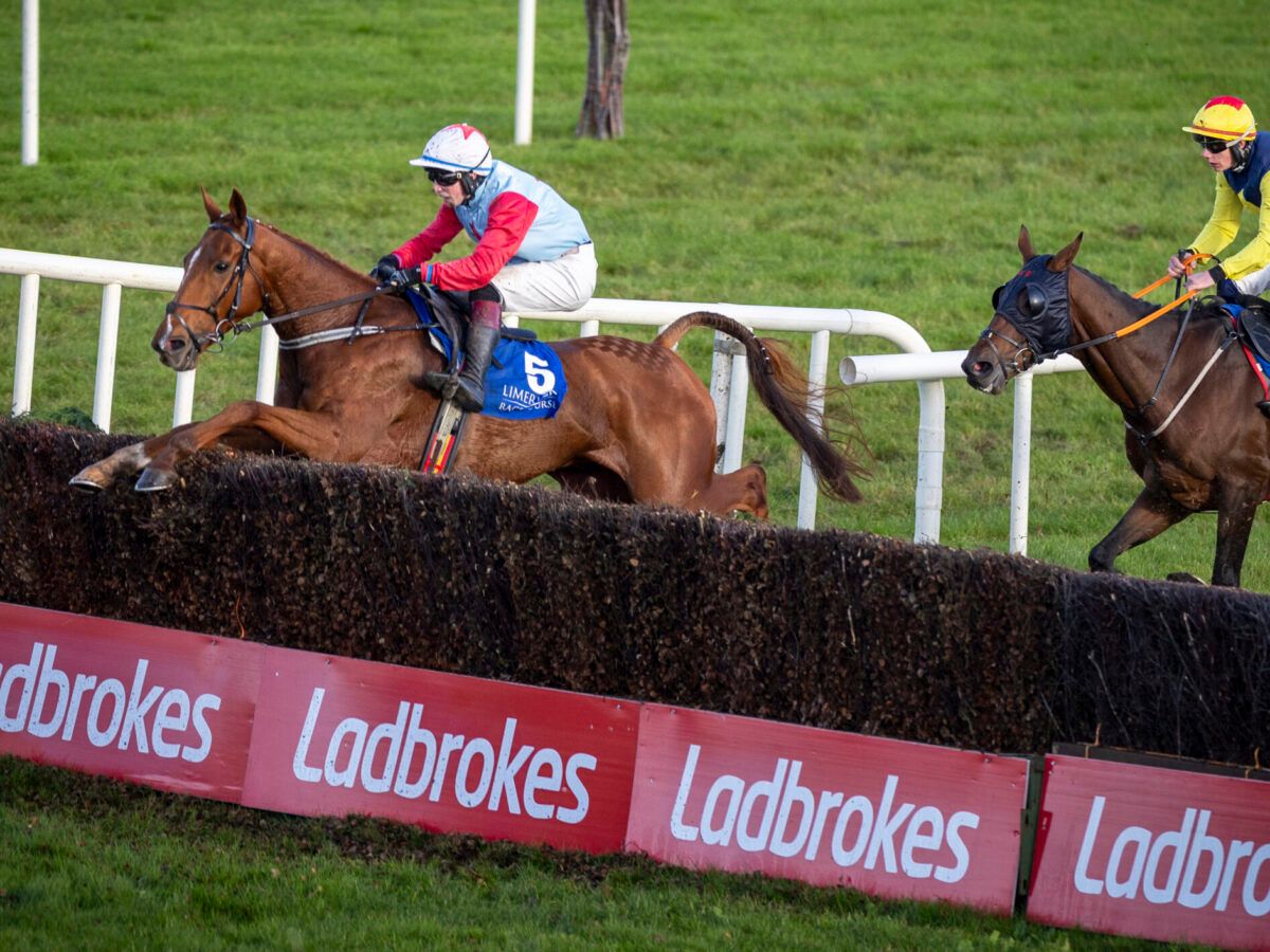Galway Duo Geoghegan and Heffernan Triumph at Limerick Racecourse
