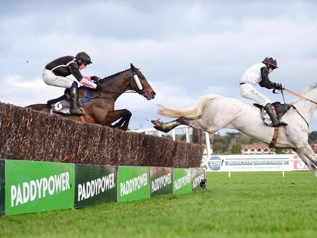 Participants analysis for the Paddy Power Cotswold Chase