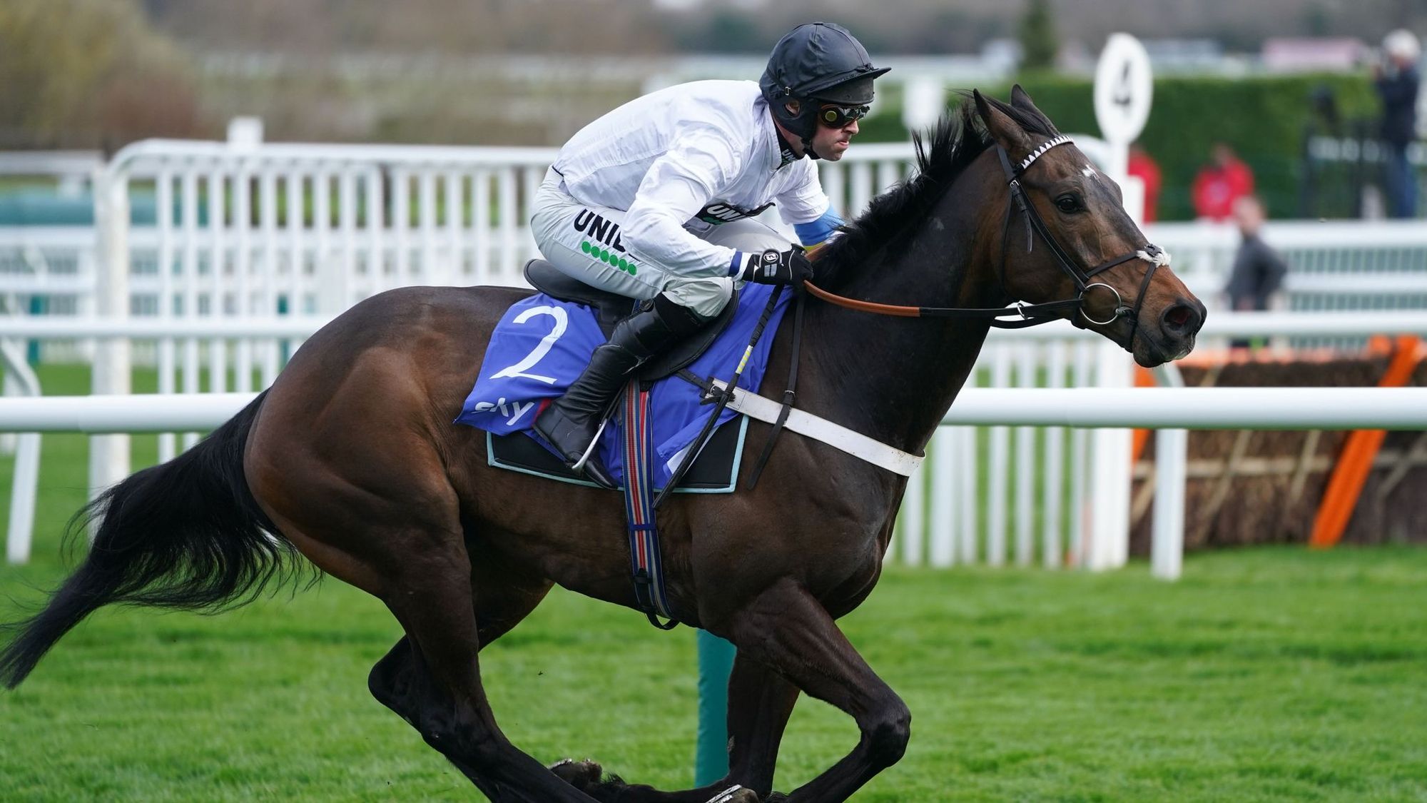 Ginny's Destiny is a strong contender for Cheltenham Festival Glory.