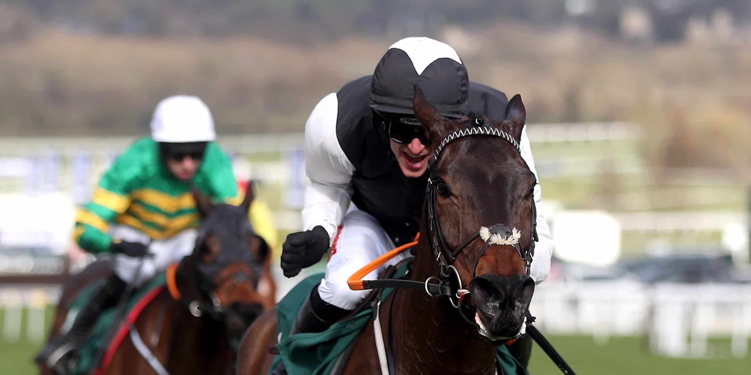 Key Weekend Racing Entries: Spotlight on Cheltenham Trials Day with Stay Away Fay