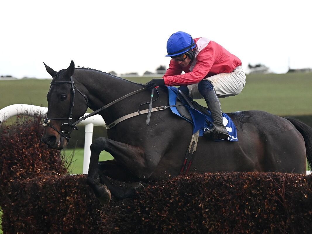 Judicieuse Allen Eyes Fairyhouse After Impressive Debut for Willie Mullins