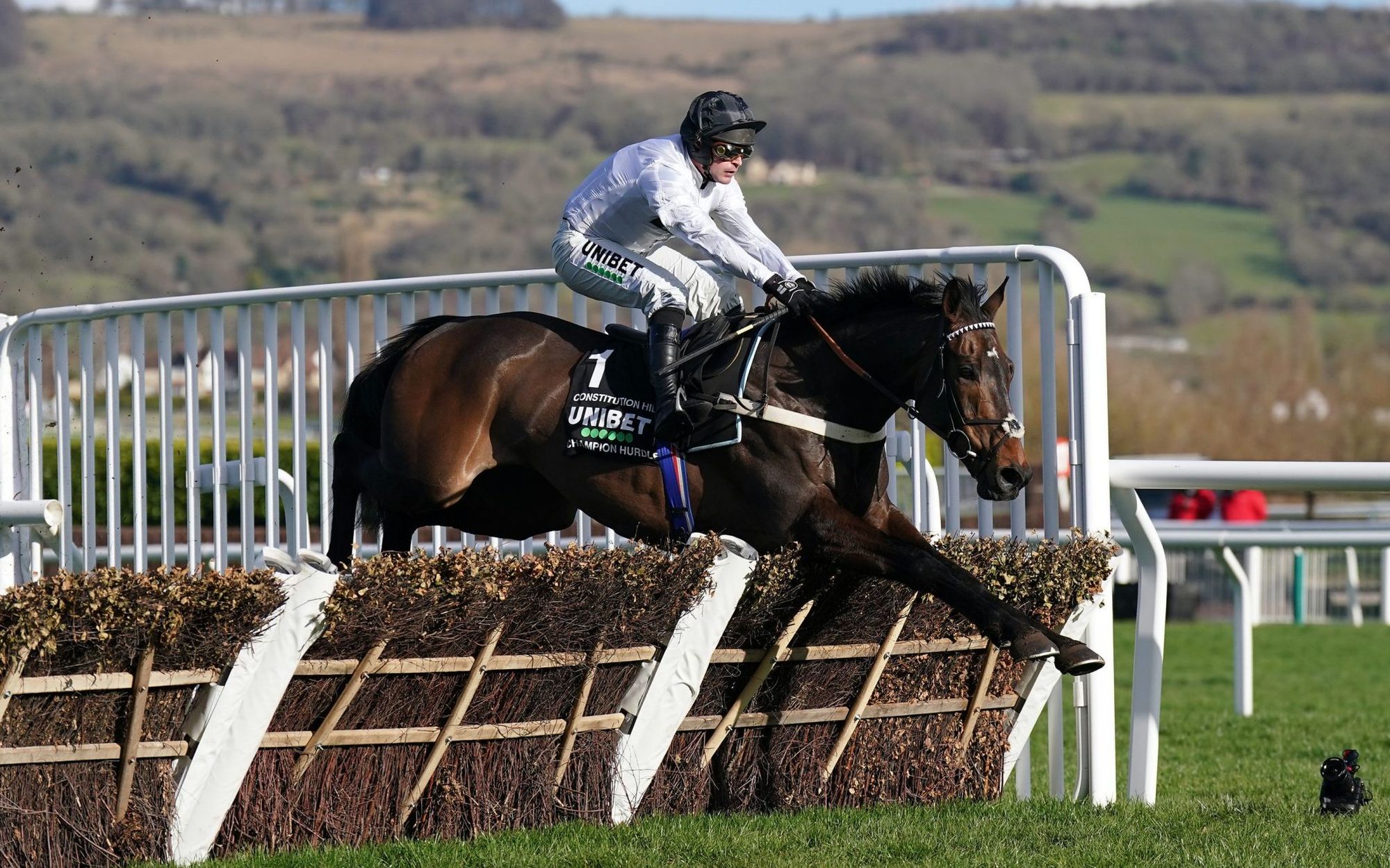 Constitution Hill Out of Unibet Hurdle, Focuses on Champion Hurdle