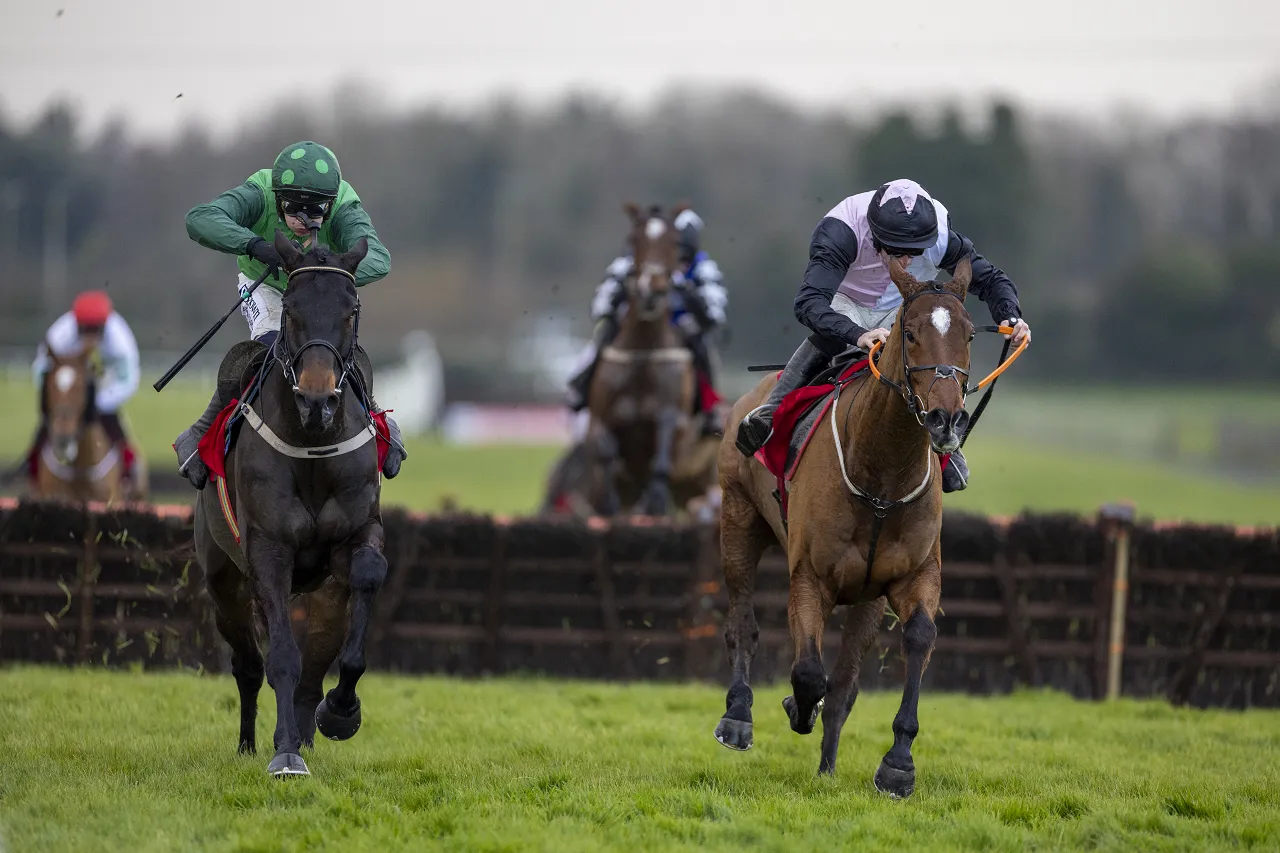 Grey Dawning: A Brown Advisory Contender - Timeform Analysis