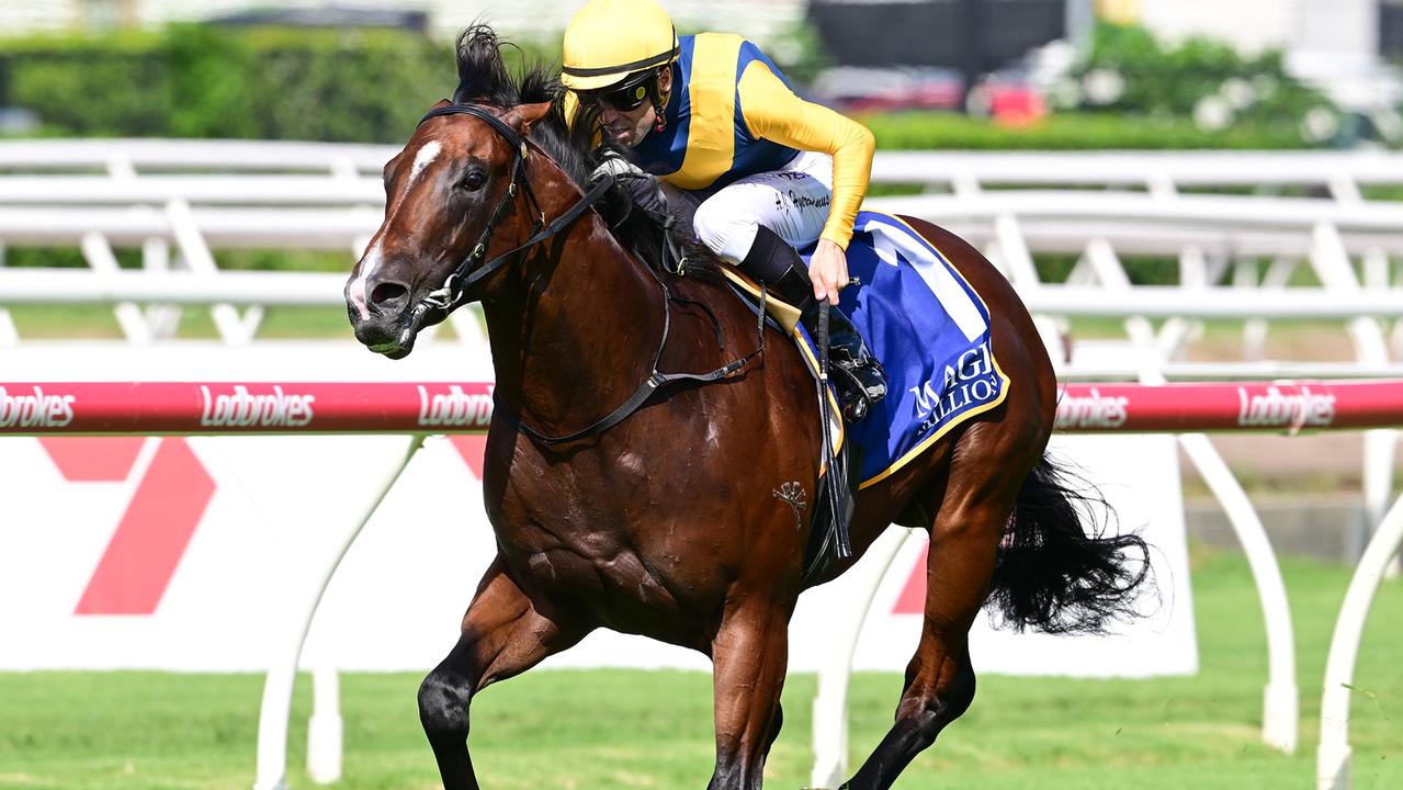 Half-Sister of Hartnell, Dominetta, Favored for Magic Millions Debut