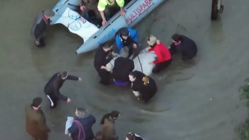 Paul Nicholls Saves Horses from Flood at Somerset Stable