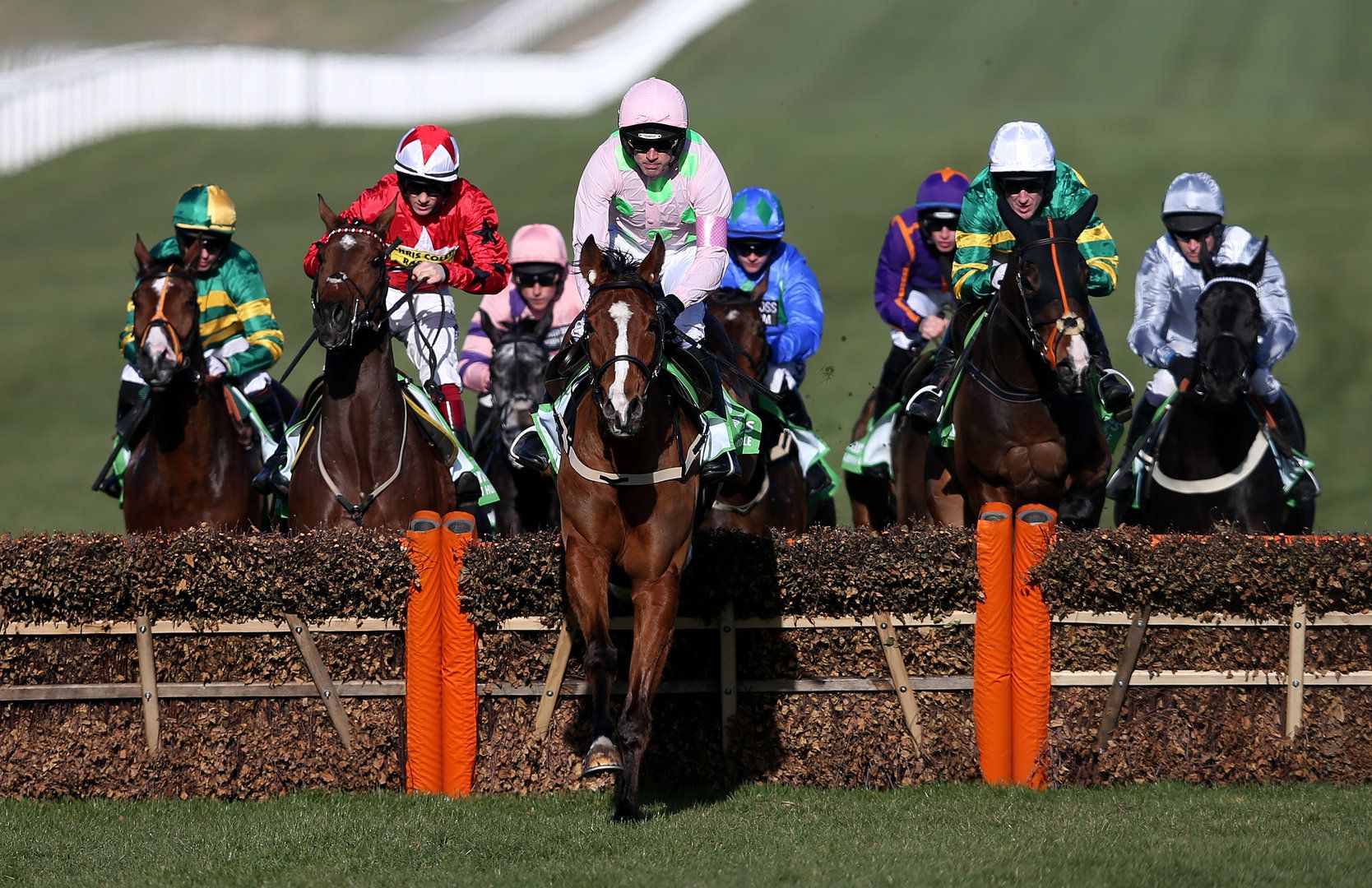 Cheltenham Festival Preview: Ruby Walsh's Analysis of Mares' Hurdle