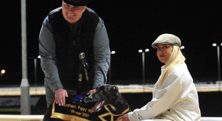 Northern Puppy Derby Champ Clona Curly Aims For Star Sports Greyhound Derby