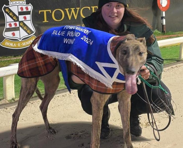 Blue Riband Hero Signet Goofy Named The Time Nutrition Greyhound Of The Month For January