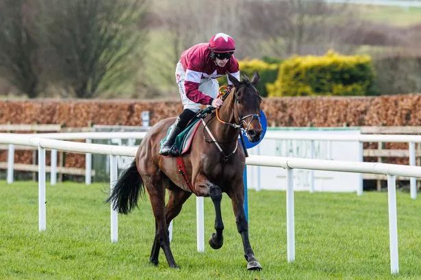 Unbeatable Brighterdaysahead Shines in Navan with Exceptional Display