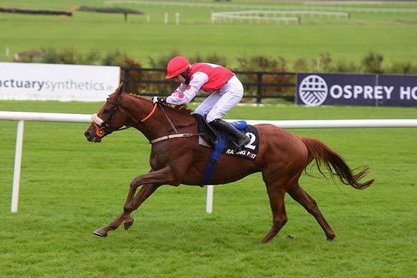 Fowler Sets Sights on Champion Hurdle for Colonel Mustard