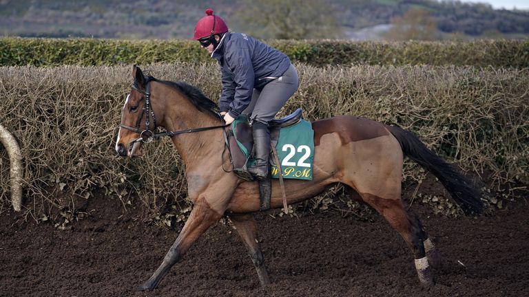 Jade De Grugy Prepared to Tackle Cheltenham's Hurdles