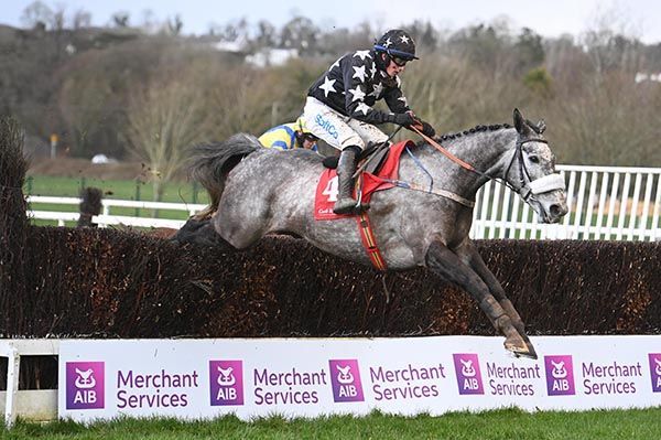 Dancing Jeremy Triumphs in Opening Handicap Chase at Thurles