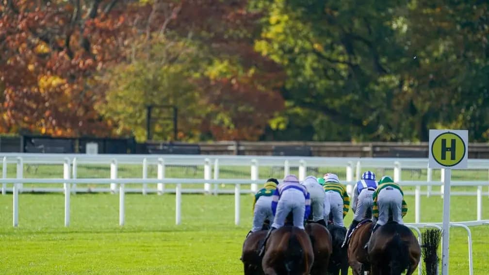 Ffos Las Racing Event Falls Victim to Waterlogging