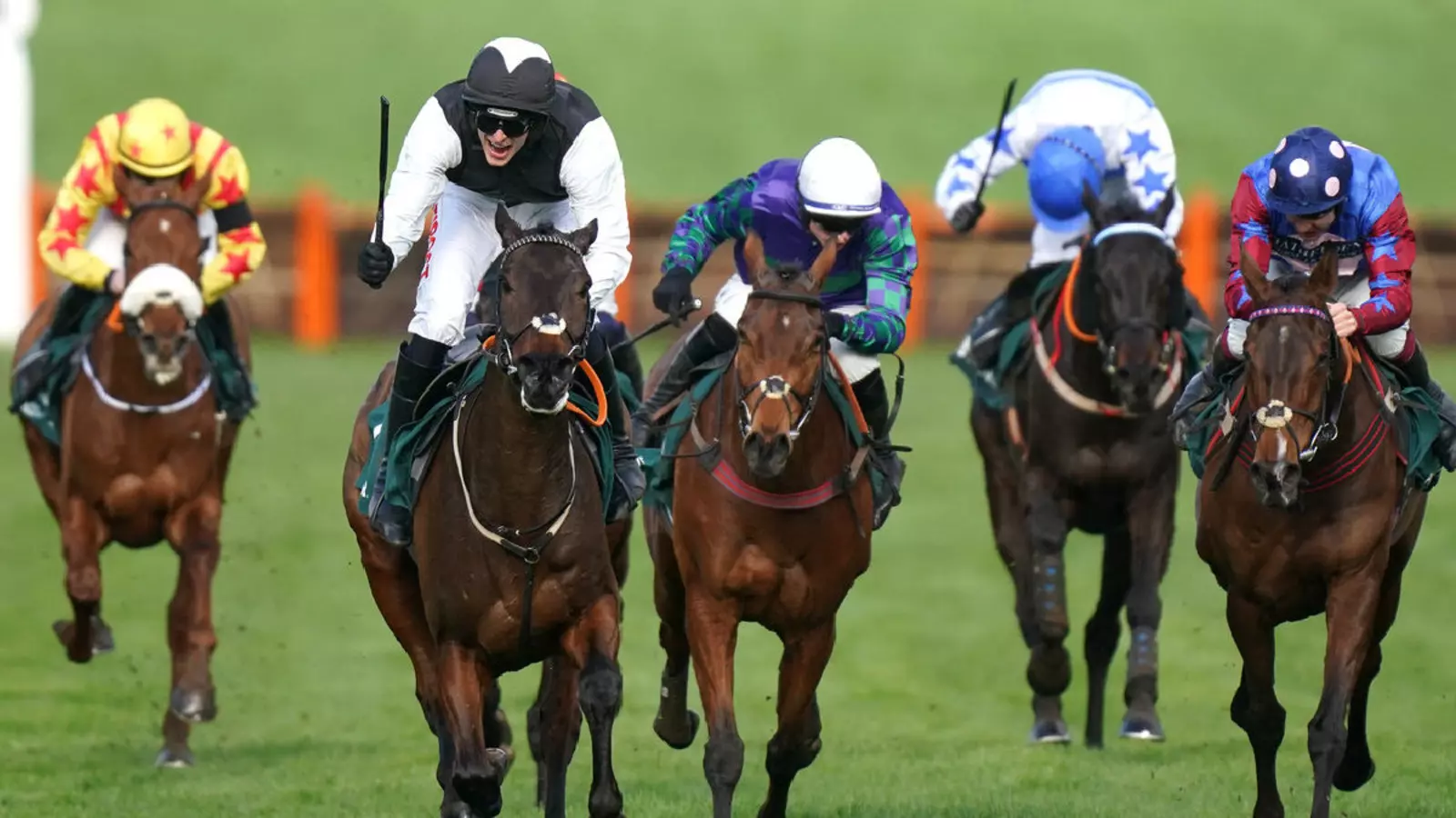 Analysis of Top Staying Hurdlers Ahead of the Cheltenham Festival