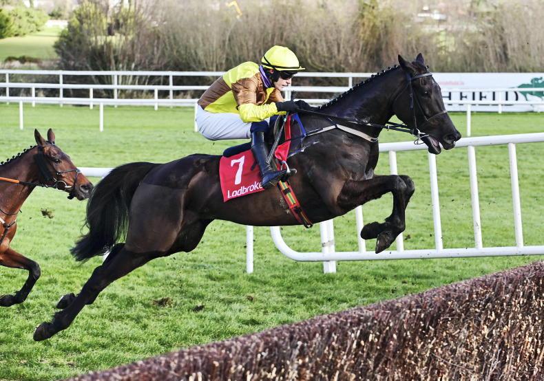 Galopin Des Champs ready to defend Gold Cup crown, Willie Mullins delighted as Cheltenham Festival looms