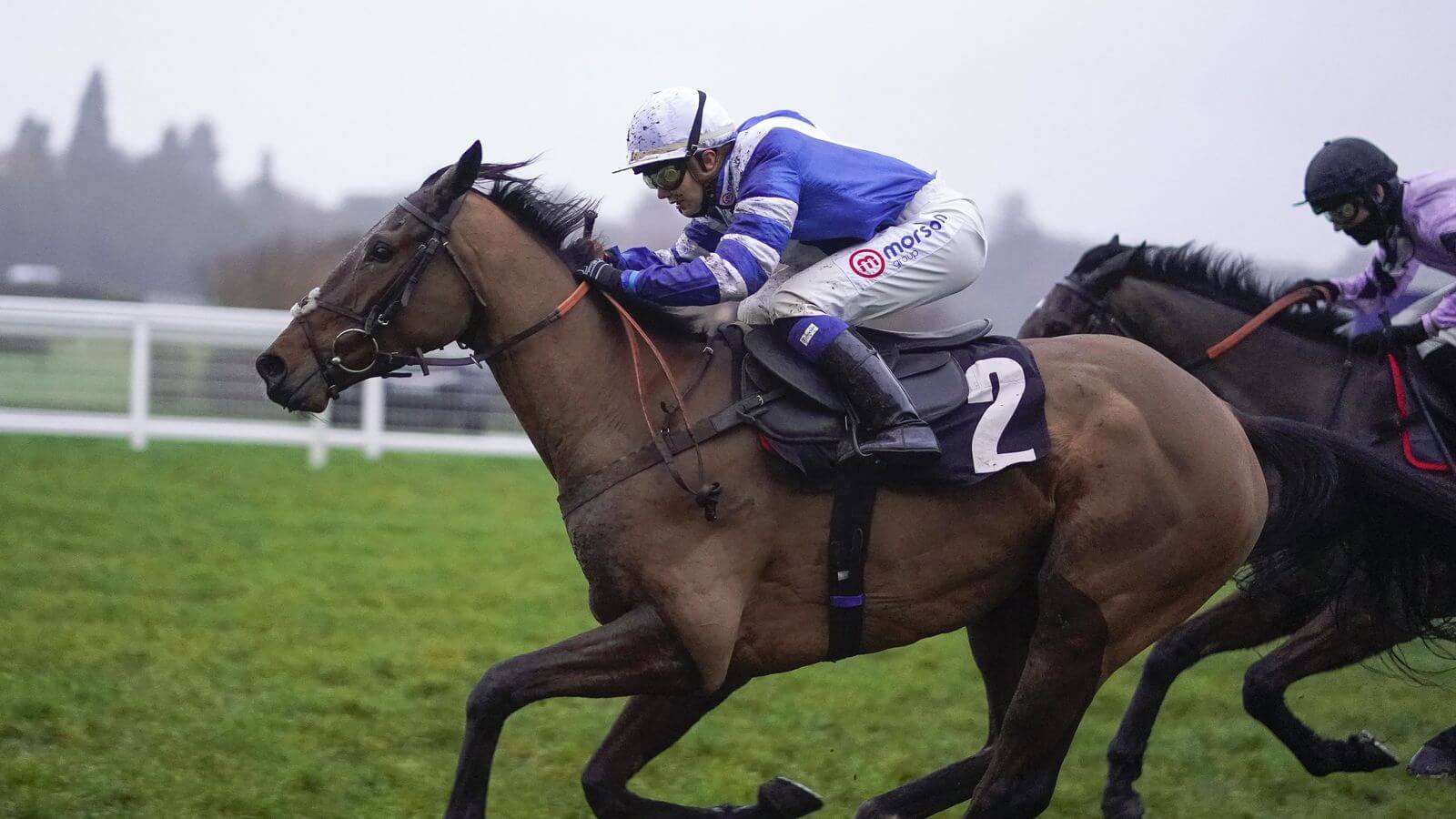 Sir Alex Ferguson's horse Hermes Allen suffers fatal fall at Sandown, devastating trainer Paul Nicholls, as the gifted novice chaser aspired to dazzle at Grade One race