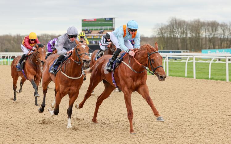 BHA Announces Extra All-Weather Event Scheduled for Lingfield Park on Friday 23rd February