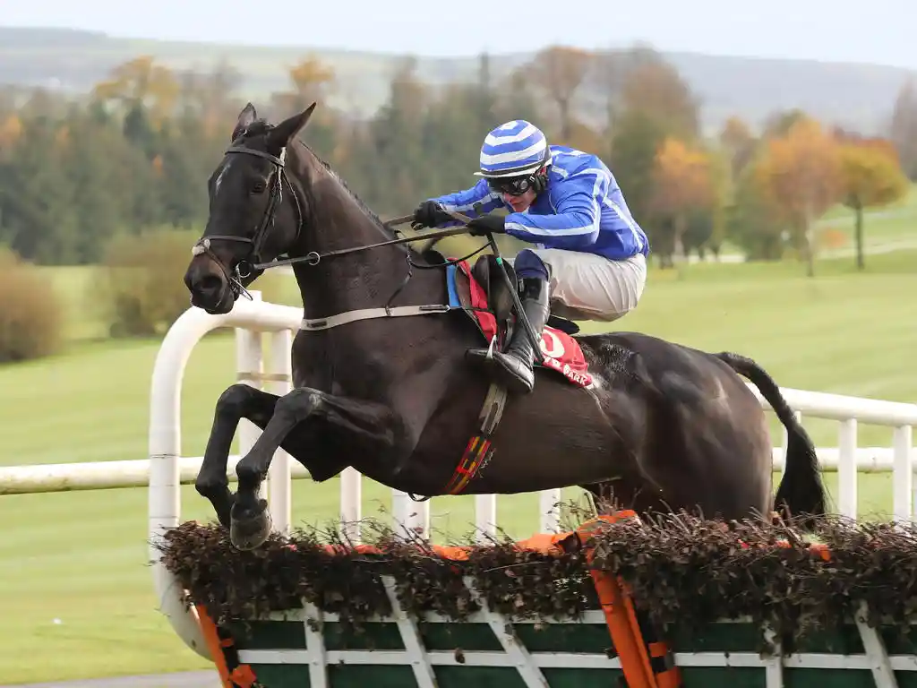 Baring Bingham Hurdle Emerges as Top Choice for Ile Atlantique