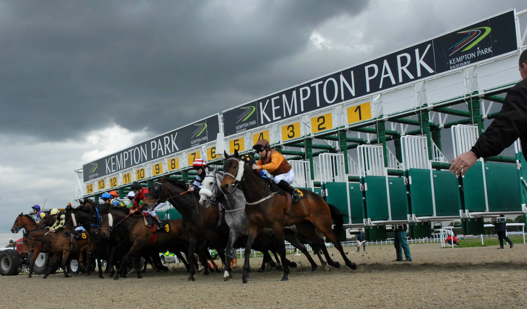 Forward Plan emerges as the top choice for bettors at Kempton