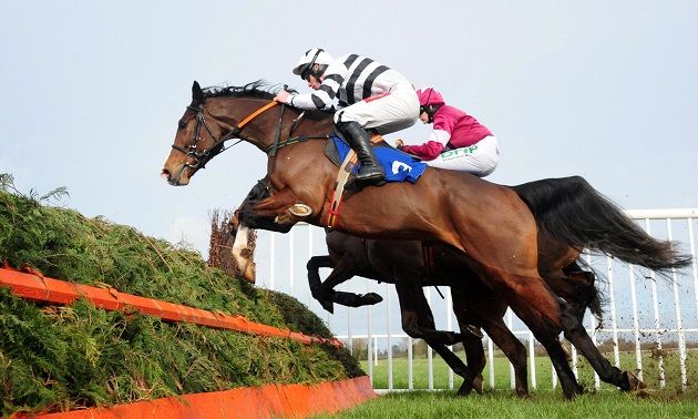 Price Drop for Majestic Force in Cheltenham's Novice Hurdle for Mares
