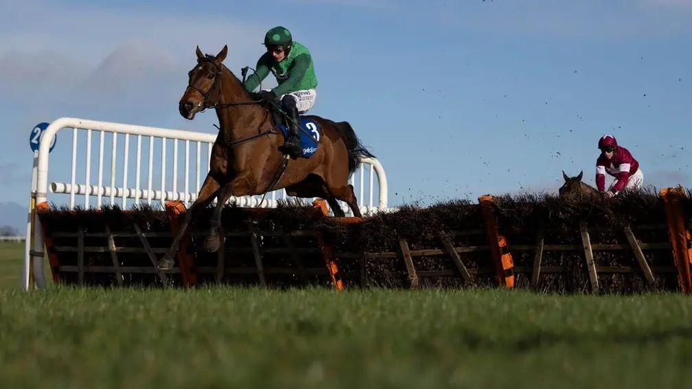 Stuart Edmunds and Ciaran Gethings Celebrate Triumph at Thurles