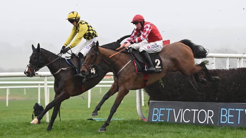 Harry Derham sets his sights on Cheltenham with a pair of valuable new recruits