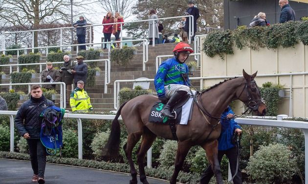 Monbeg Genius, an aspirant for the prestigious Grand National, is primed for the preparatory race at Kelso