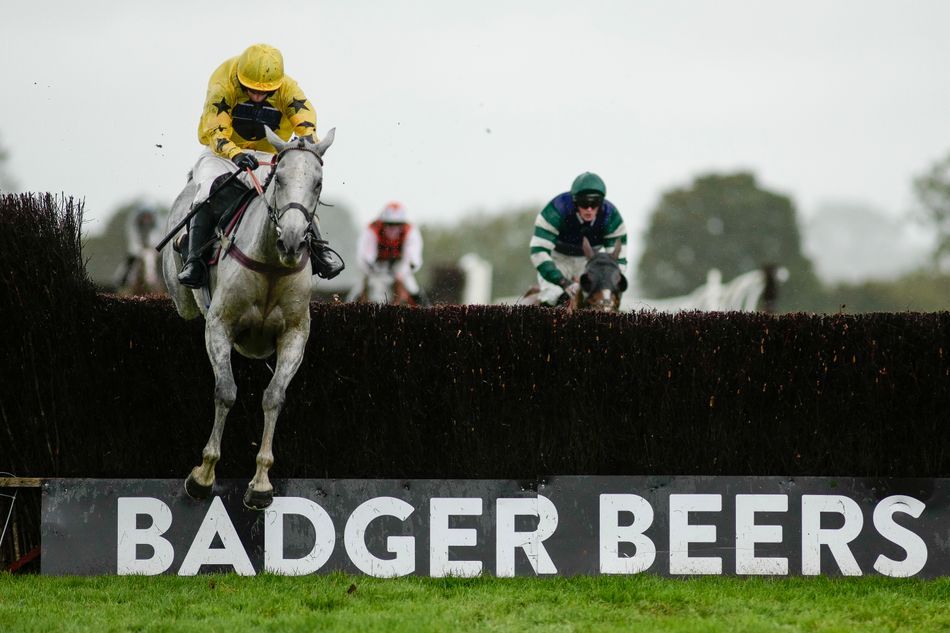 My Silver Lining aims for gold at Haydock this weekend