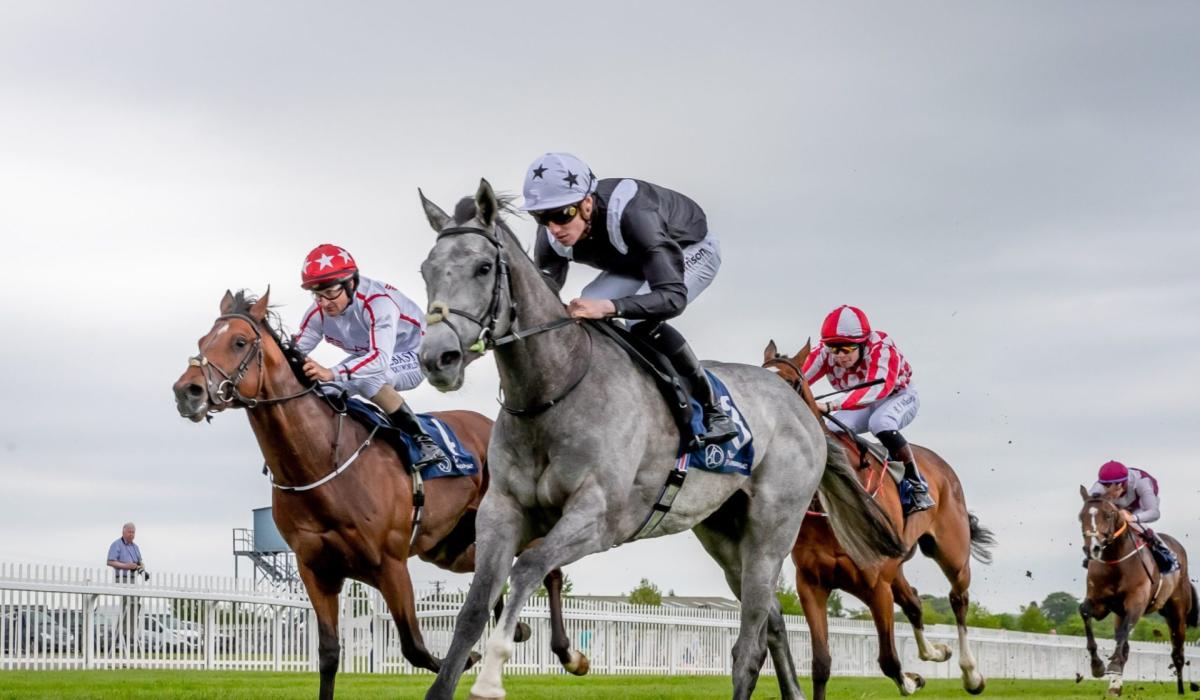 TRM to Sponsor Six Races at Naas Racecourse