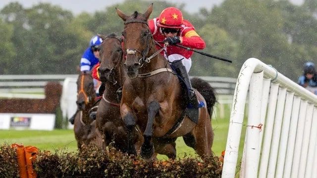 No Cheltenham Festival for No Flies On Him This Year