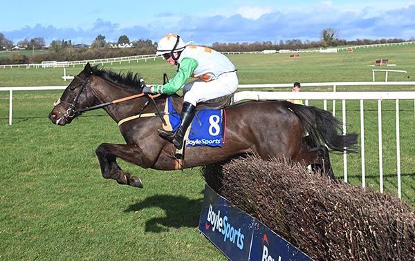 Pana To Milan Triumphs at Thurles with Burke-Ott in the Saddle