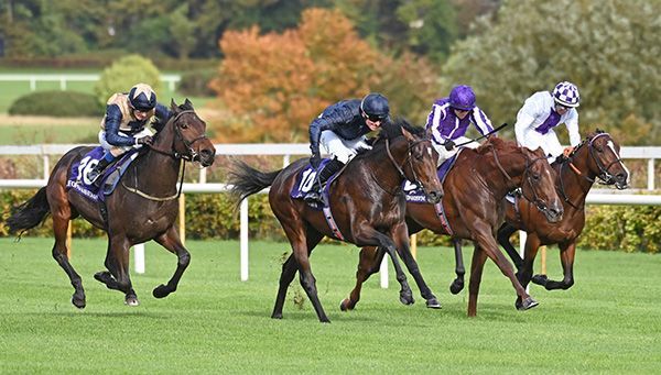 Kempton Performance Crucial for Peking Opera's Triumph Aspirations