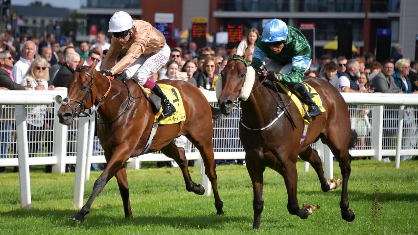 Jack Davison Strategising Southwell Victory with Thunderbear