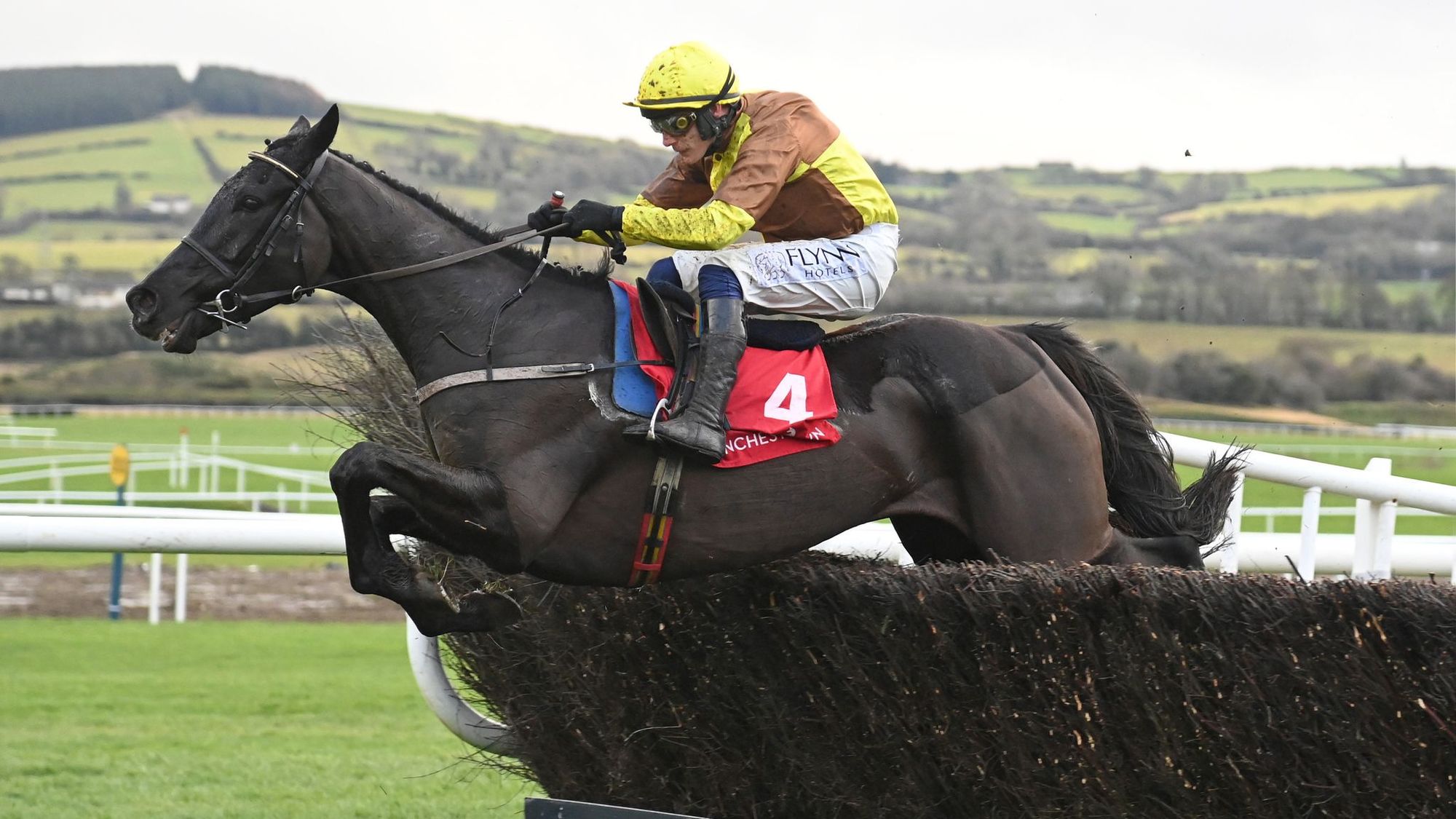 Galopin Des Champs is enthusiastically celebrated upon his arrival in Leighlinbridge