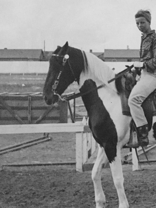 Photo: https://commons.m.wikimedia.org/wiki/File:Eva_Ring_riding_Paint_horse_on_race_track.jpg#mw-jump-to-license
