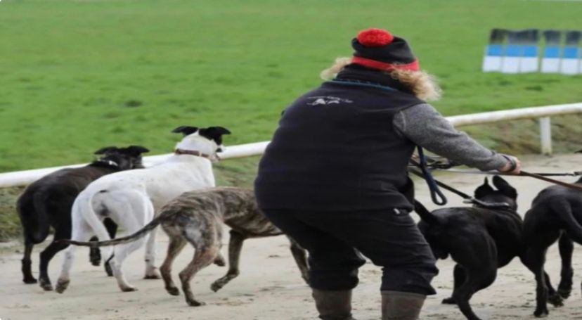 Tony Brealey: The Coppice Man's Passion for Greyhound Racing and Fast Cars