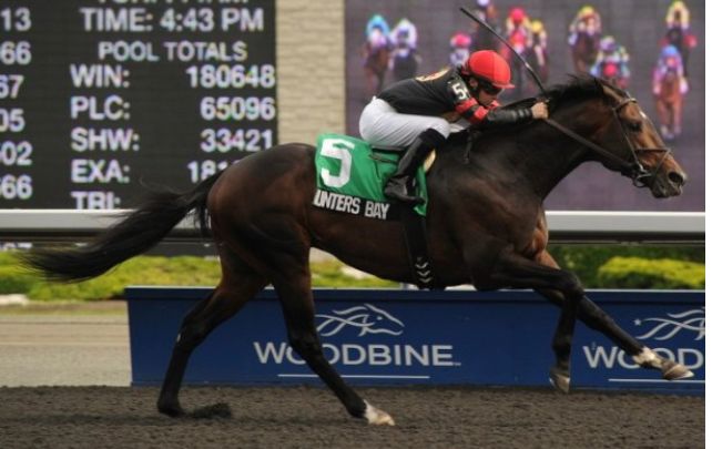 Photo: https://web.archive.org/web/20160303225638/http://ontariothoroughbred.com/woodbine/2012/09/16/wilson-completes-her-chase-for-1000