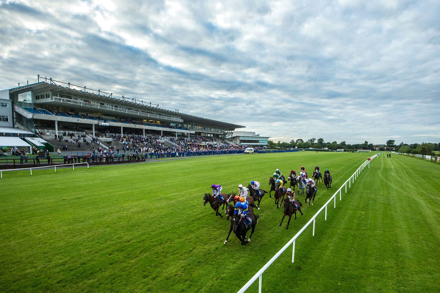 Arizona Blaze had a Fantastic Start To His Racing Career, Securing a Victory At The Curragh