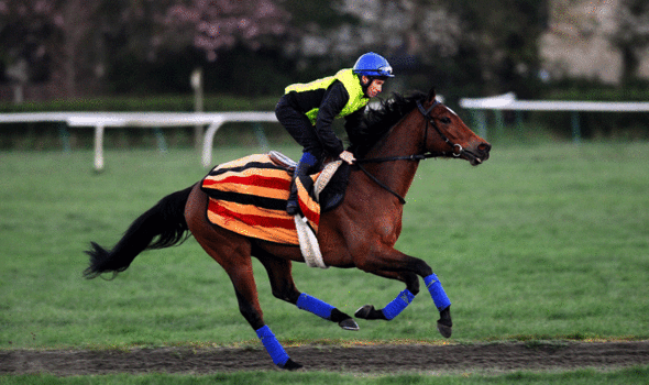 George Margarson has set his sights on winning the Lincoln Handicap with his mare, Farhh To Shy