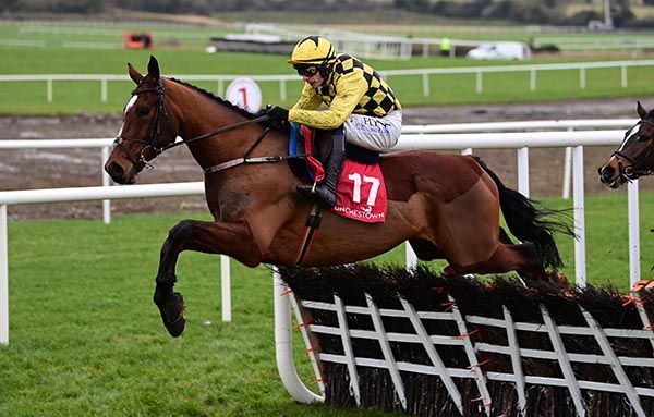 Securing a Hat-trick: Mullins and Townend Triumph Again with Tactical Move