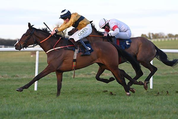 Blaze The Way Shows Determination to Win Bumper Race