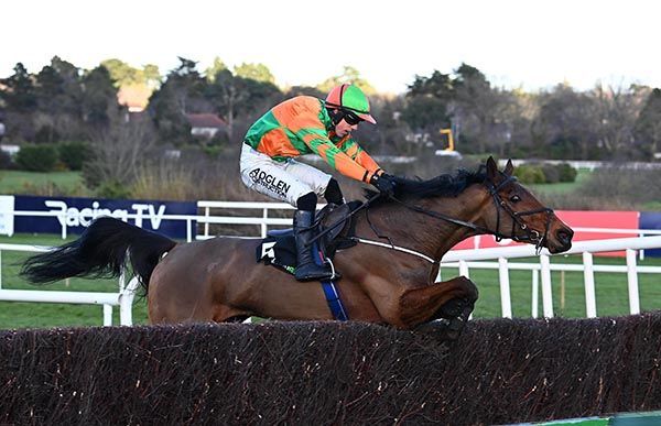 Brideswell Lad Making Strides at 33/1