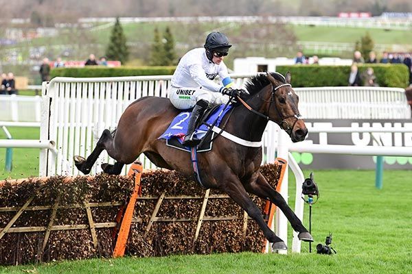 Cheltenham's Hopes Dampened by Constitution Hill's Blood Test Findings