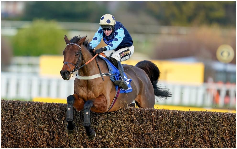 Edwardstone in Peak Condition as Anticipation Builds for Champion Chase Rendezvous