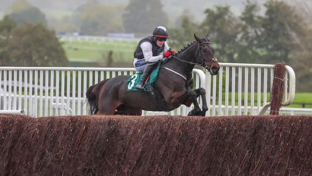 13 Elite Contenders Confirmed for Stayers’ Hurdle Showdown