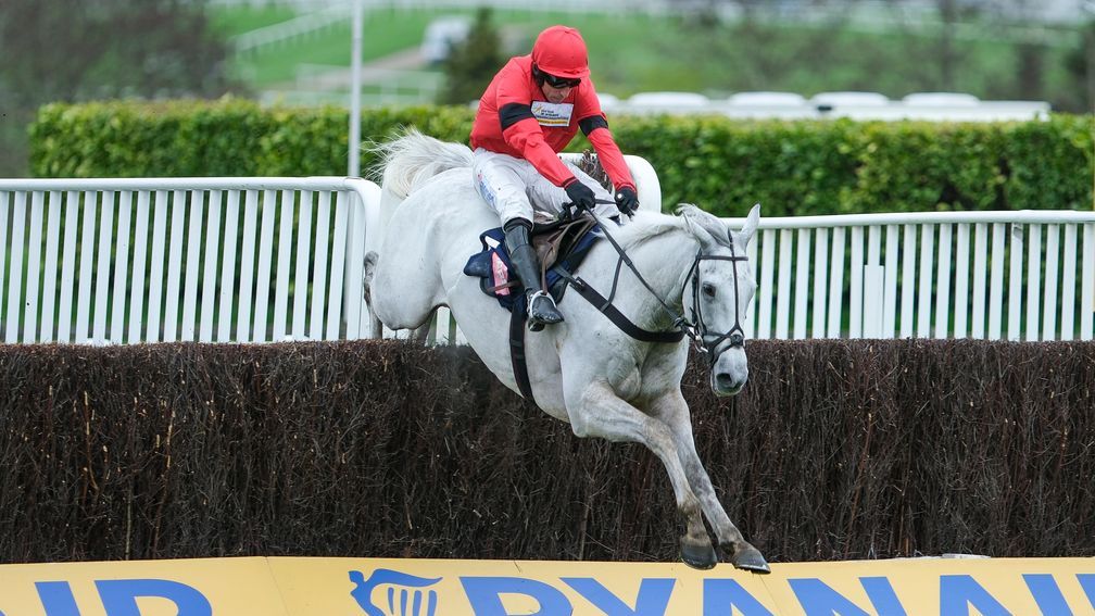 Grey Dawning Outshines Ginny’s Destiny in Turners Novices’ Chase Showdown