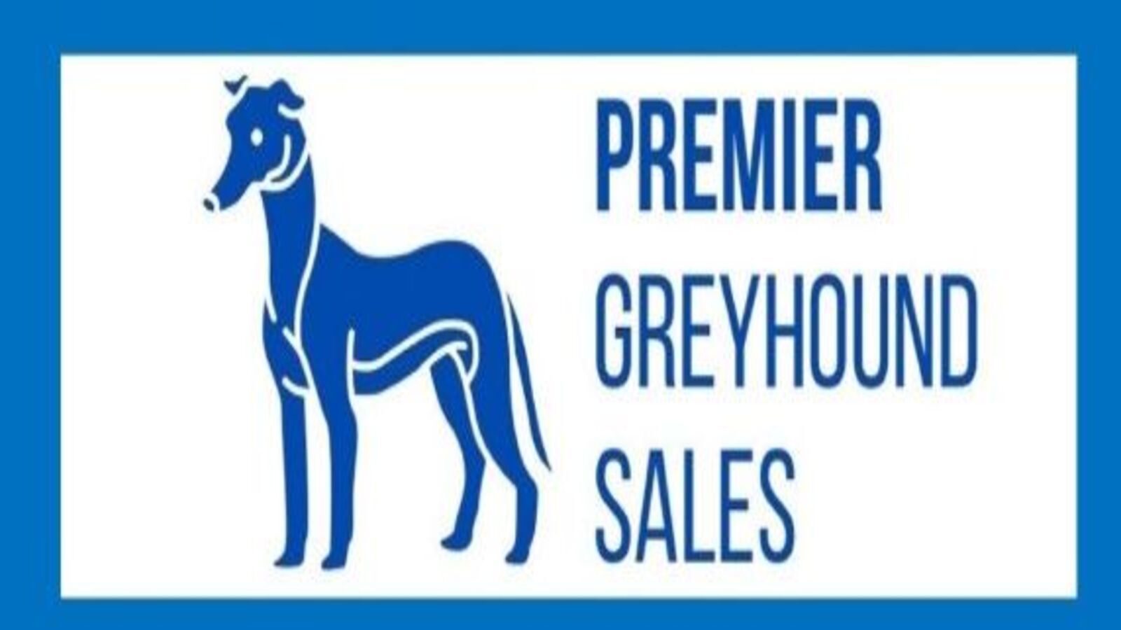 Premier Greyhound Sales – Sheffield Preview