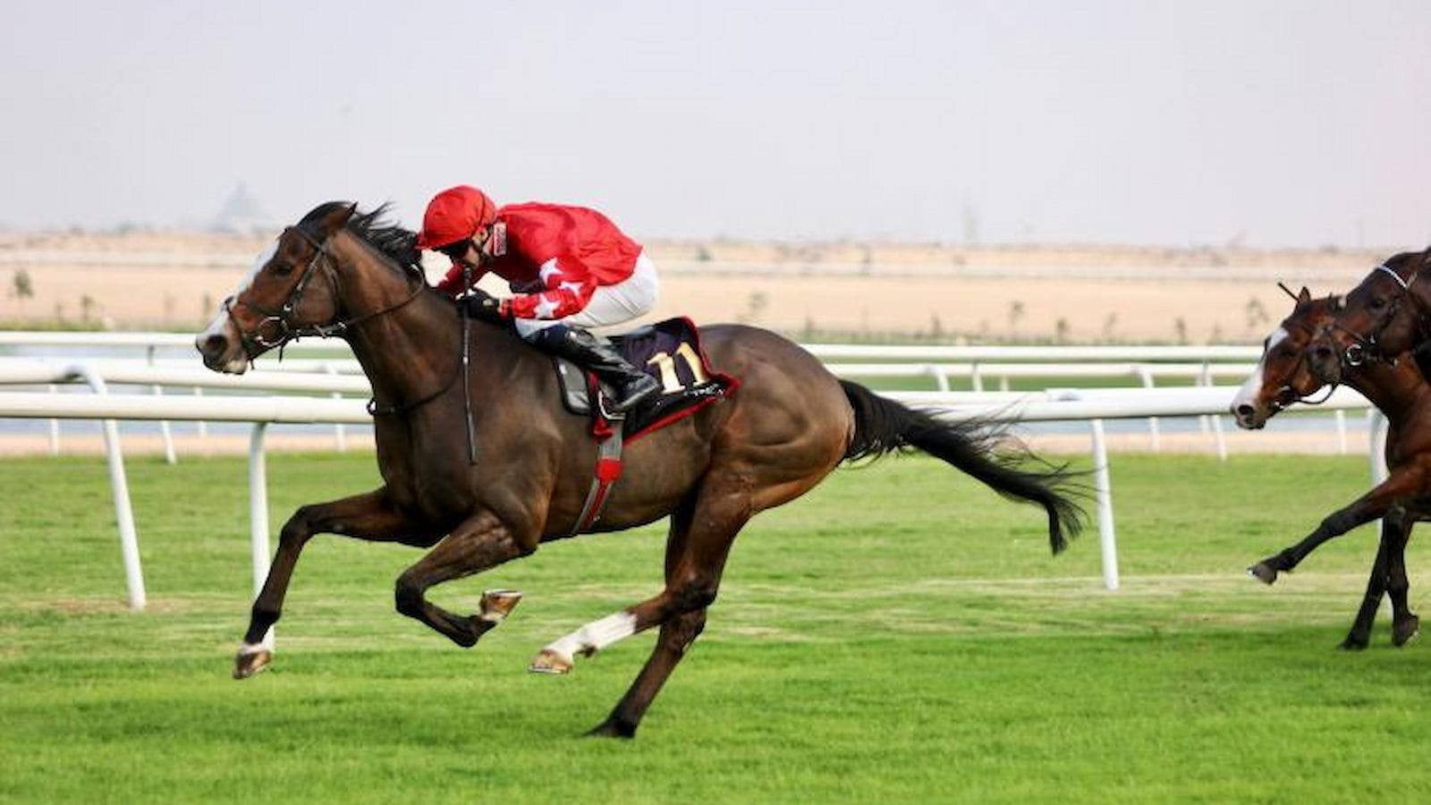 Spirit Dancer is reported to be in excellent condition leading up to the Dubai Sheema Classic