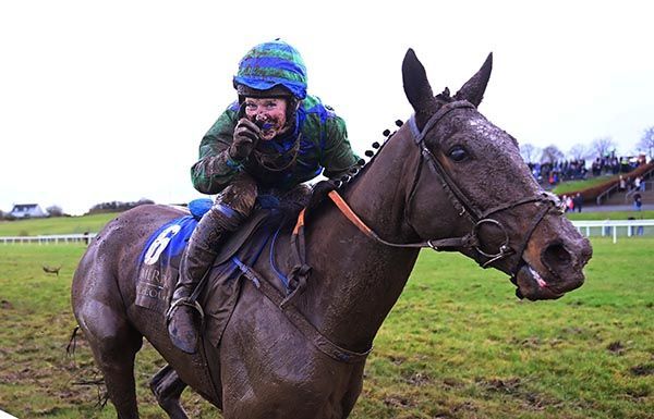 Twoohthree Impresses on Track Debut at Leopardstown