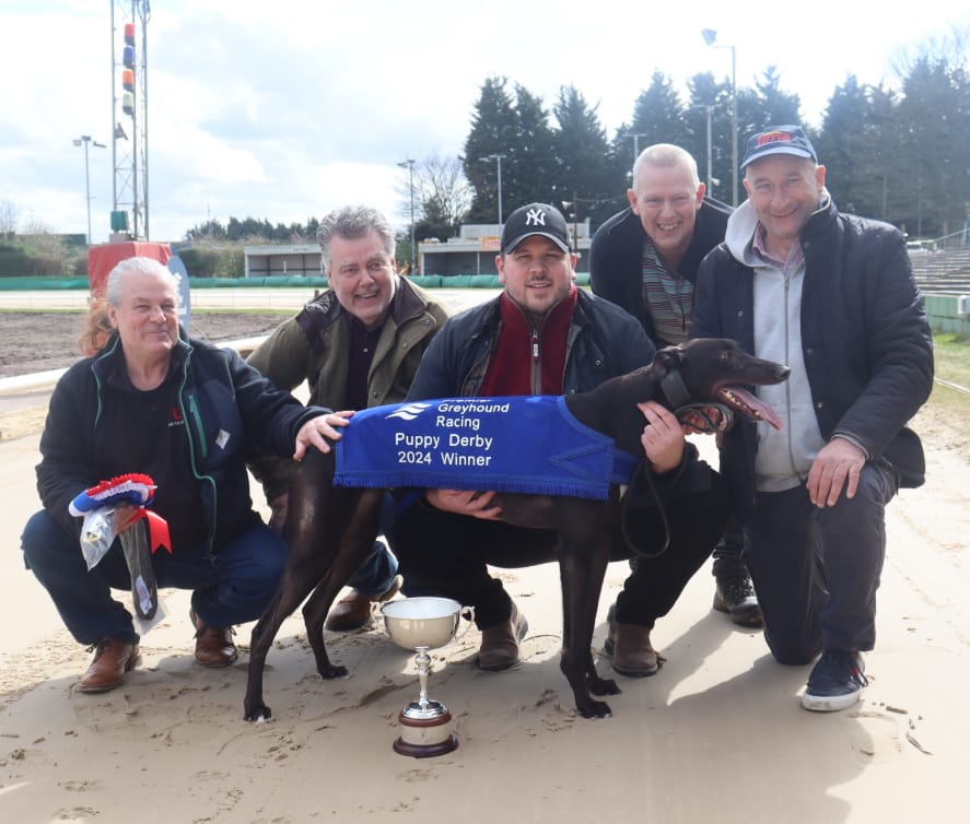 Untold Dollar Secures Victory in Premier Greyhound Racing Puppy Derby Final